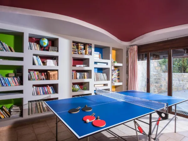 high, garden, gabala, azerbaijan, frame villas, services, game zone, table tennis